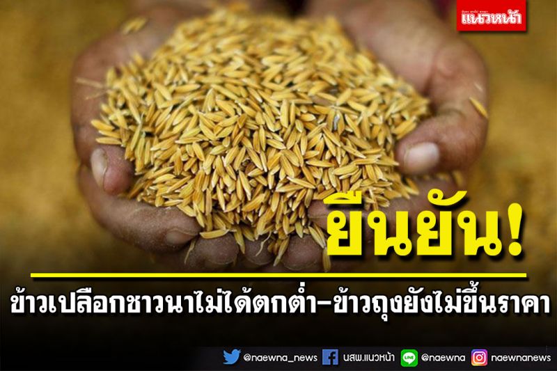 กรมการค้าภายในยัน ข้าวเปลือกชาวนาไม่ได้ตกต่ำ ข้าวถุงยังไม่ปรับราคาขึ้น