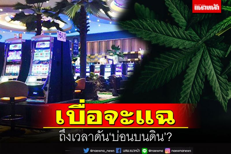 อย่าทำเจี๋ยมเจี้ยม!‘ชูวิทย์’เบื่อจะแฉ ถาม‘กัญชา’ยังถูกกม.ได้ ถึงเวลาดัน‘บ่อนบนดิน’?