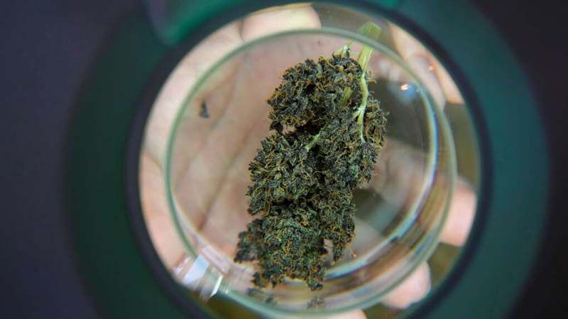 Health News : UN เผยคนใช้กัญชาเพิ่มขึ้นทั่วโลก