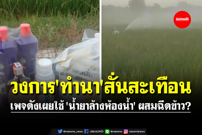 เพจดังเผยวงการ 'ทำนา' ต้องสั่นสะเทือน ใช้ 'น้ำยาล้างห้องน้ำ' ผสมฉีดข้าว?