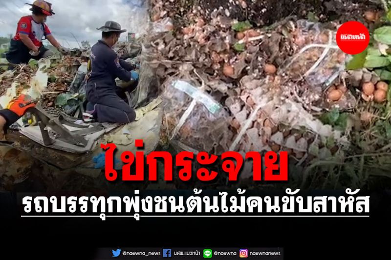 ไข่กระจาย! รถบรรทุกไข่เสียหลักพุ่งชนต้นไม้เกาะกลางถนนคนขับสาหัส