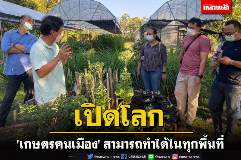 เปิดโลก'เกษตรคนเมือง' คุณสามารถทำได้ในทุกพื้นที่ทั้ง 'เขตเมือง-ชานเมือง-ที่เช่า'