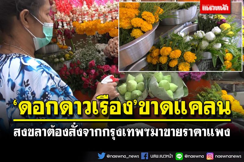 พรุ่งนี้วันพระ! สงขลา'ดอกดาวเรือง'ขาดแคลน ร้านค้าต้องสั่งตรงจากกรุงเทพฯขายแพง