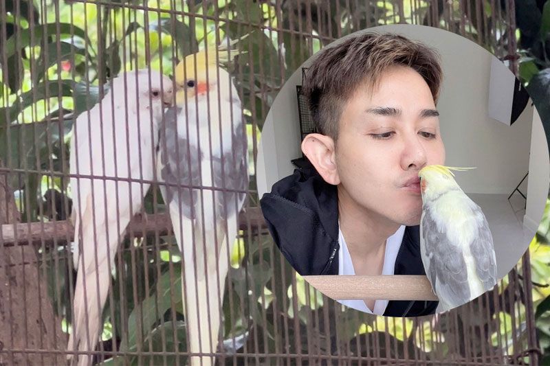 ผิดคาด 'เอ ไชยา'สุดตื่นเต้นเจอนกแล้ว ที่แท้หนีไปแอ๊วหญิง !