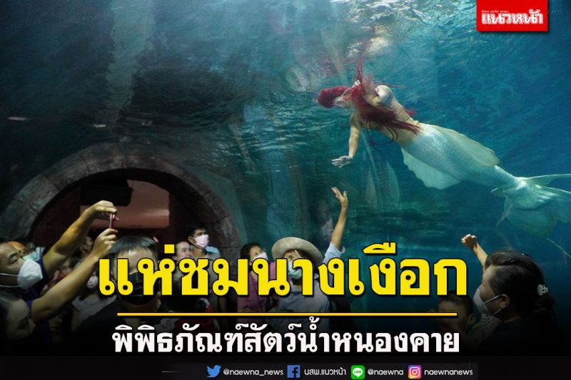 พิพิธภัณฑ์สัตว์น้ำหนองคายจัดโชว์นางเงือกเอาใจเด็กรับช่วงวันหยุดยาว