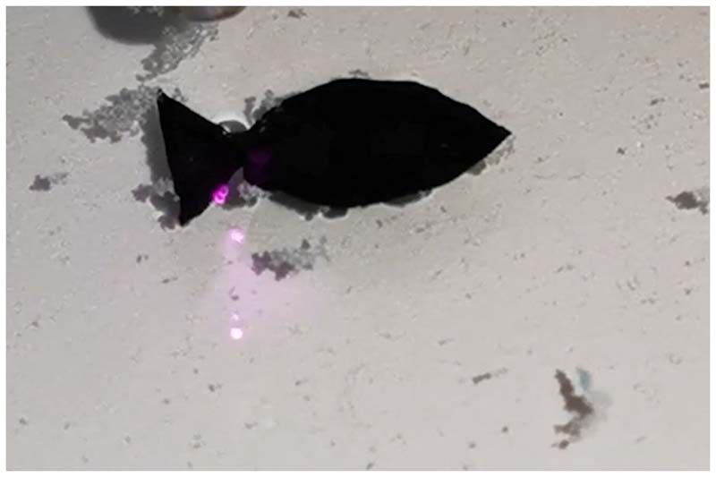 Science Update : หุ่นยนต์ปลากินไมโครพลาสติก