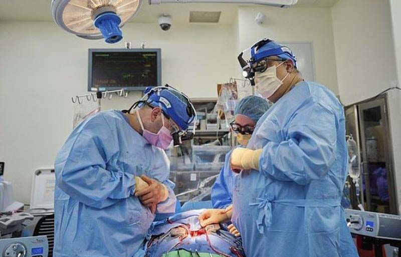 Health News : ปลูกถ่าย ‘หัวใจหมู’ สู่มนุษย์สำเร็จ
