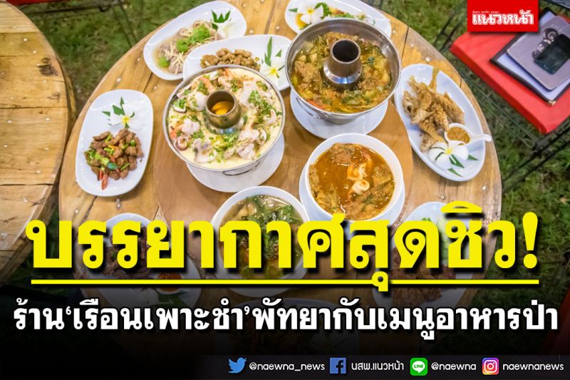พัทยาก็มีแกงป่า! บรรยากาศสุดชิว แนวธรรมชาติ พร้อมเมนูอาหารป่าเพียบ