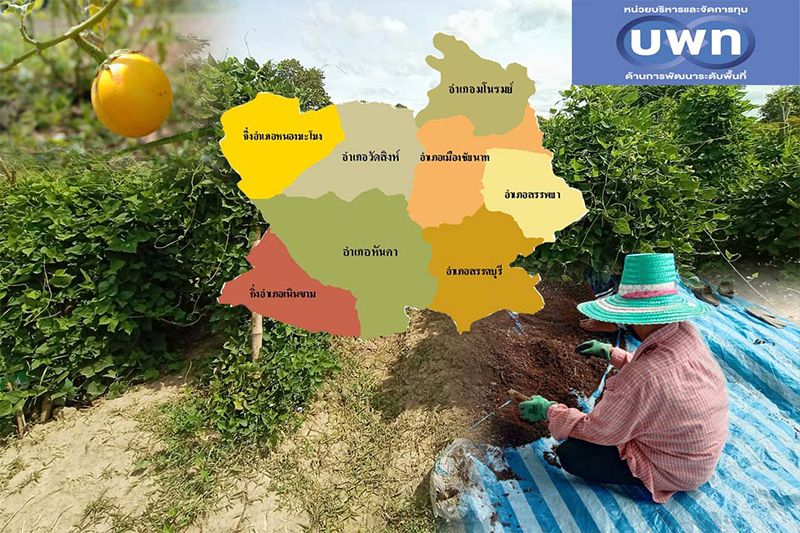 ‘บพท.’ร่วมแก้จนที่‘ชัยนาท’ เผย‘5โครงการ’สอดคล้องพื้นที่-ทุนมนุษย์