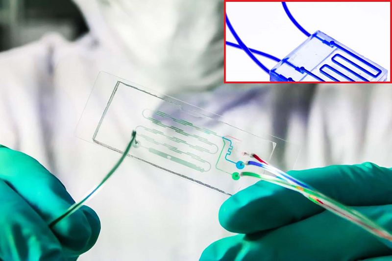 ‘ม.นิวยอร์ก-วิศวะมหิดล’  แลกเปลี่ยนองค์ความรู้‘แล็บมะเร็งบนชิป’