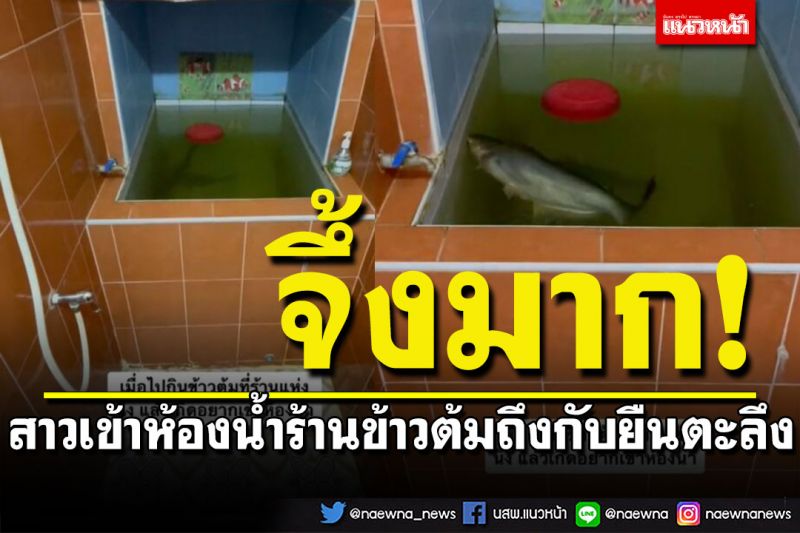สาวเข้าห้องน้ำร้านข้าวต้ม ถึงกับยืนตะลึง เจอปลาสวายว่ายในอ่างน้ำ ลูกเจ้าของร้านโผล่แจง