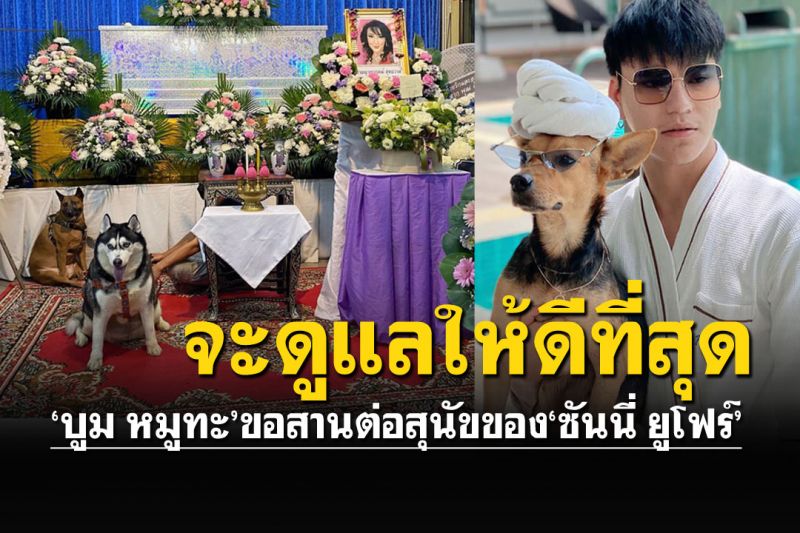 'บูม หมูทะ'ห่วงสุนัข2ชีวิตของ'ซันนี่ ยูโฟร์' ขอดูแลค่าใช้จ่ายทั้งหมด