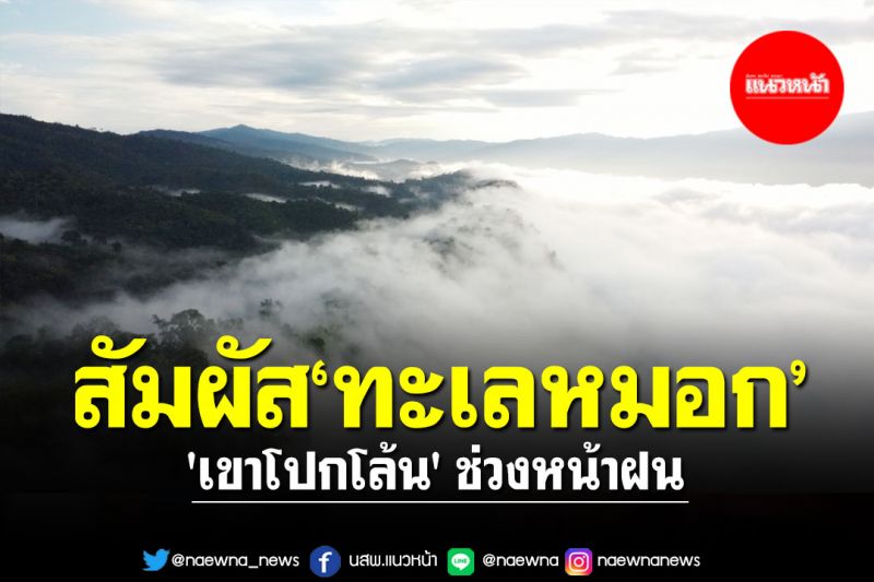 เที่ยวหน้าฝนชมทะเลหมอก 'เขาโปกโล้น' สัมผัสธรรมชาติให้เต็มปอด