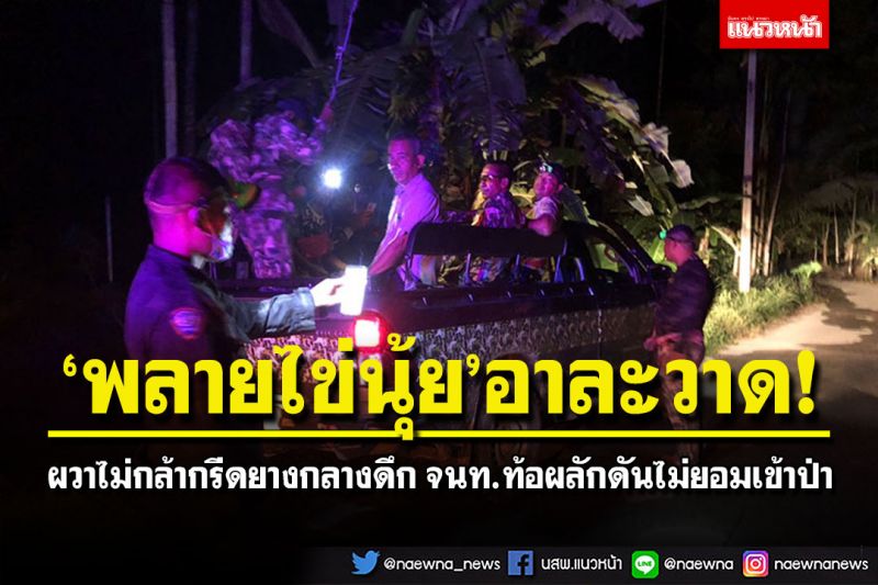 'พลายไข่นุ้ย'อาละวาด! ผวาไม่กล้ากรีดยางกลางดึก จนท.ท้อผลักดันไม่ยอมเข้าป่า