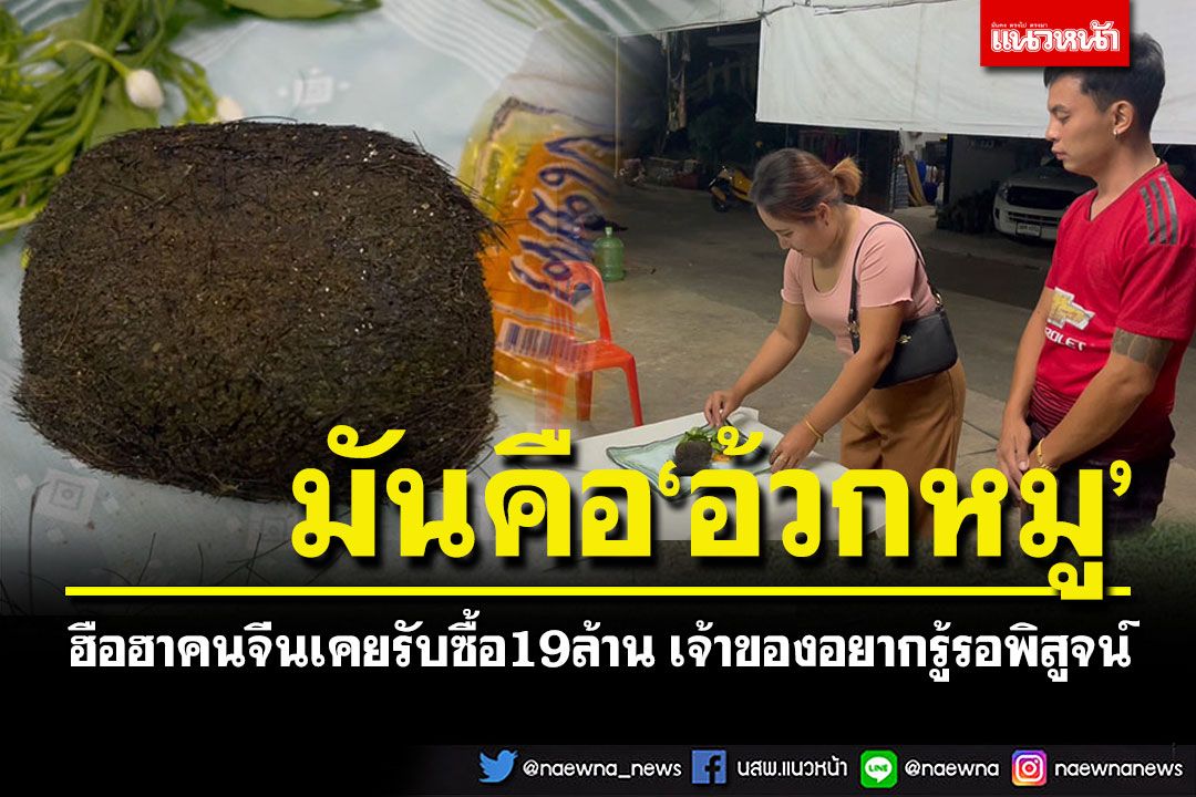 ฮือฮา'อ้วกหมู'ก้อนสีน้ำตาล เผยคนจีนเคยรับซื้อ19ล้าน เจ้าของอยากรู้รอพิสูจน์