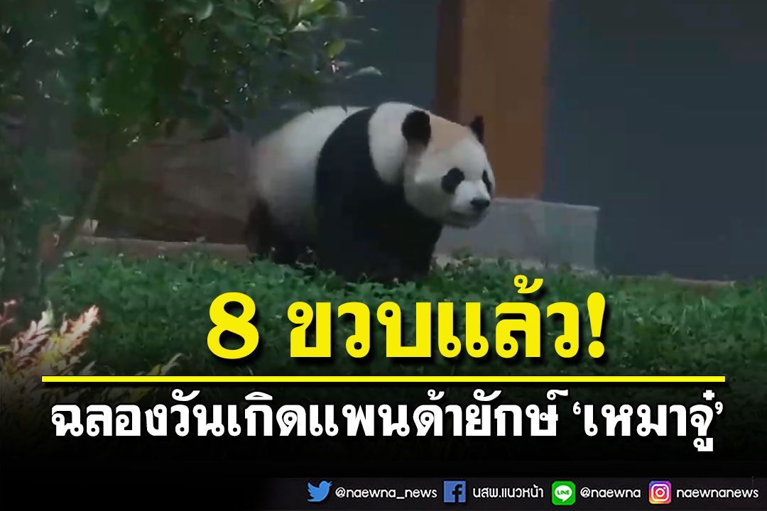 สุดน่ารัก! แฟนคลับจีนตัวน้อยร่วมฉลองวันเกิดครบรอบ 8 ขวบให้แพนด้ายักษ์'เหมาจู๋'