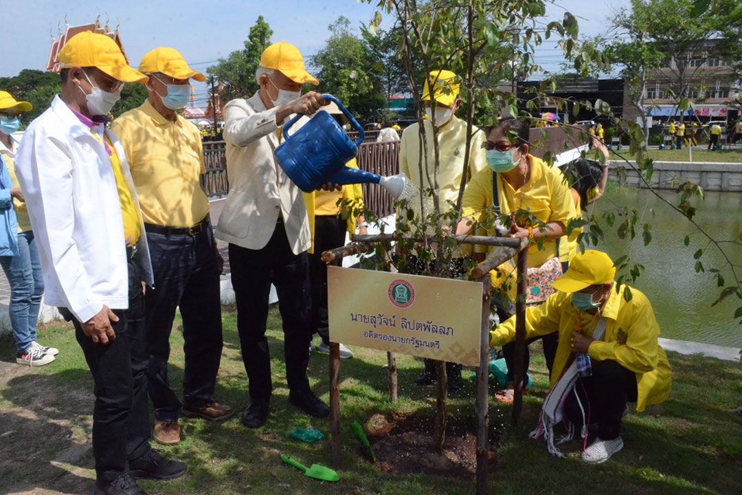 ชาวโคราชพร้อมใจใส่เสื้อเหลืองร่วมปลูก 'ต้นรวมผึ้ง' 10,010 ต้นเฉลิมพระเกียรติ