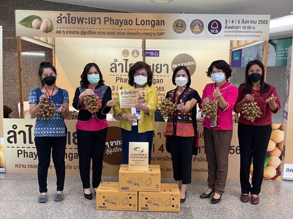 ขยับขึ้น!! พาณิชย์ฯพะเยา-กรมการค้าภายใน รับซื้อลำไยสดช่อ-ลำไยรูดร่วง'ดึงราคาลำไยขึ้น'