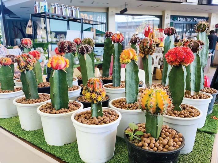 เดอะไนน์ พระราม 9 รวมพลชาว GREEN ช้อปเพลินงานต้นไม้ ตลอดเดือนสิงหาคม