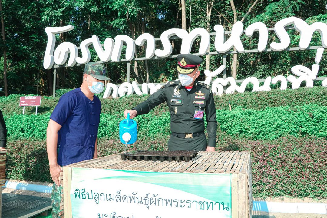 'โครงการทหารพันธุ์ดี' สะท้อนความเป็น 'อู่ข้าวอู่น้ำ' ของไทย