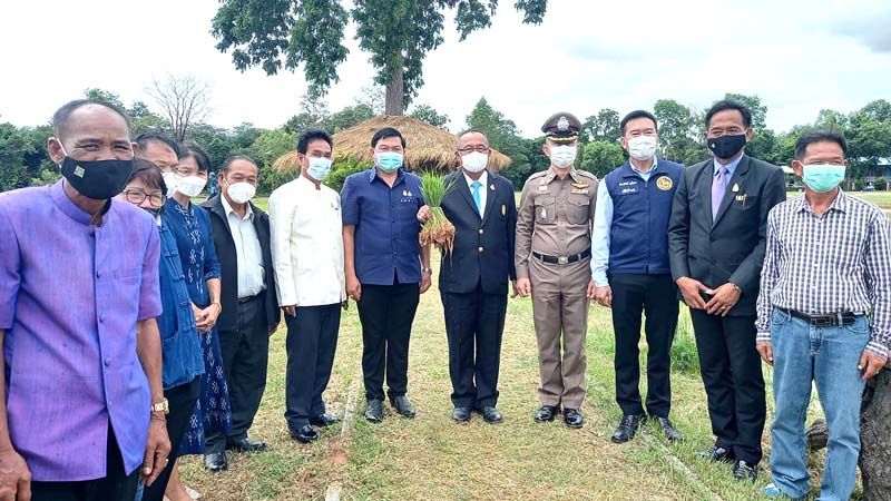 รายงานพิเศษ : รร.บ้านสำราญ ขอนแก่น นำร่องปลูกข้าวสุขภาพสูง   ‘พันธุ์ทับทิมชุมแพ’ ผลผลิตนำให้ครู -นร.และชุมชน