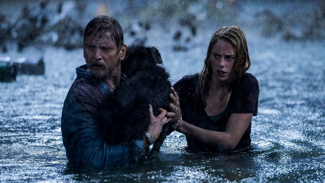 'คายาสโคเดลาริโอ'หนีตายนรกใต้น้ำ หนังดังครั้งแรกฟรีทีวีไทย เรื่อง'Crawl' ช่อง 'MONO29'
