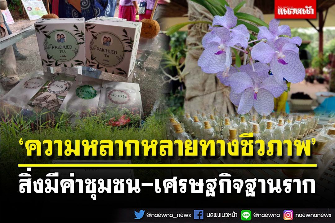 สกู๊ปพิเศษ : ‘ความหลากหลายทางชีวภาพ’  สิ่งมีค่าชุมชน-เศรษฐกิจฐานราก