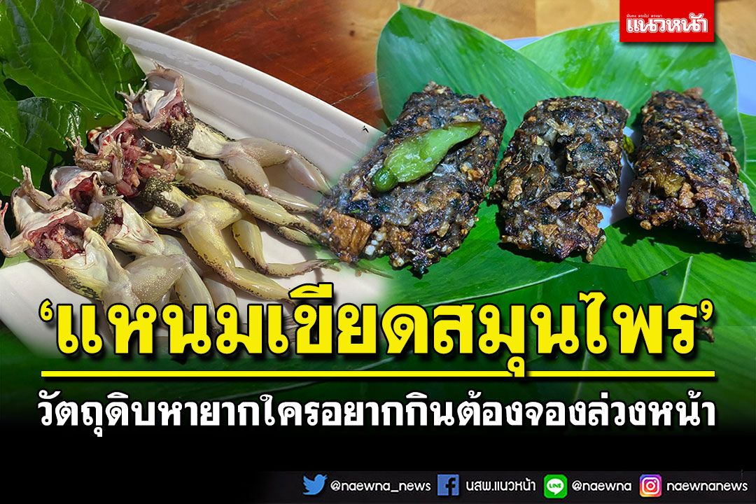 เป็นตาแซ่บ! 'แหนมเขียดสมุนไพร' วัตถุดิบหายาก ใครอยากกินต้องพรีออเดอร์เท่านั้น