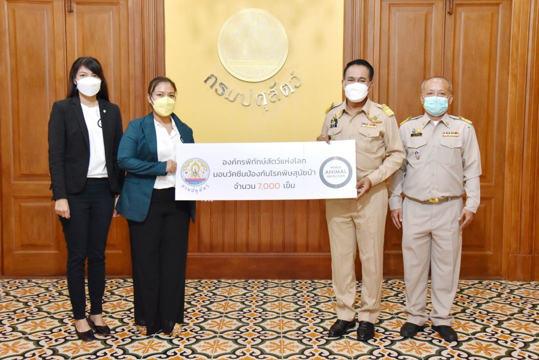 องค์กรพิทักษ์สัตว์แห่งโลก มอบวัคซีนป้องกันโรคพิษสุนัขบ้า7พันเข็มให้กรมปศุสัตว์