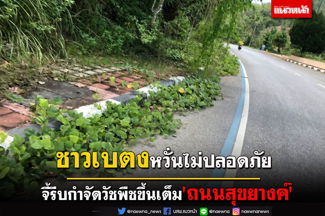 ชาวเบตง นทท.หวั่นไม่ปลอดภัย 'ถนนสุขยางค์'ทางไปด่านพรมแดนวัชพืชขึ้นเต็ม