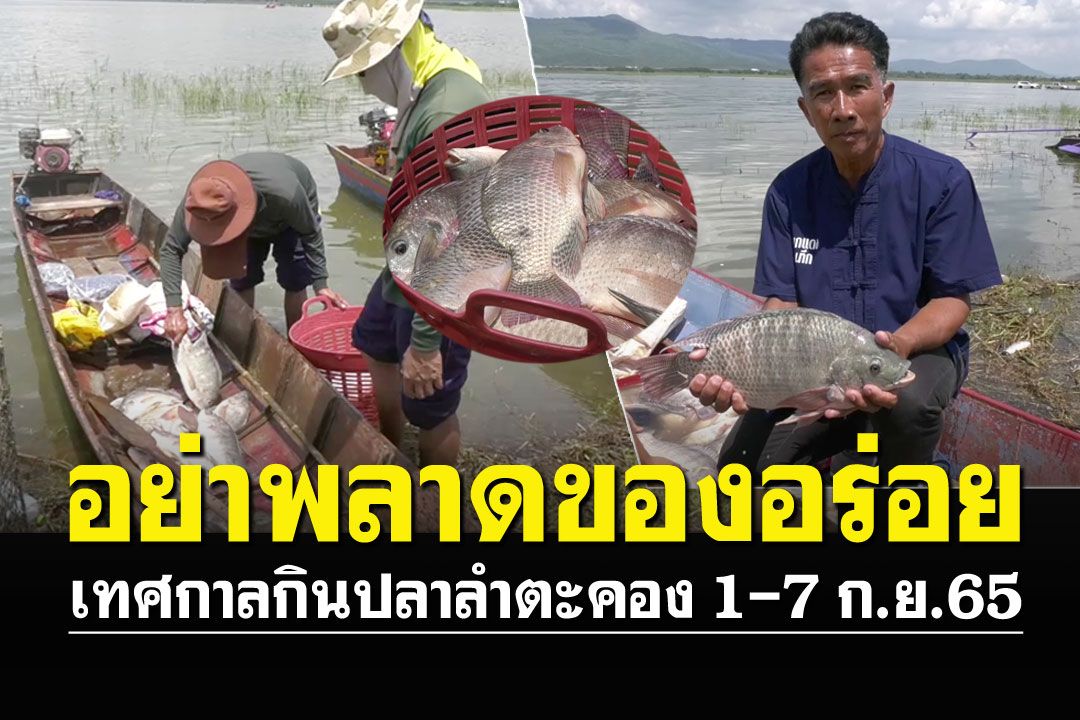 เริ่มแล้ว! เทศกาลกินปลาลำตะคอง 1-7 d.p.65 คาดเงินสะพัดกว่า10ล้าน