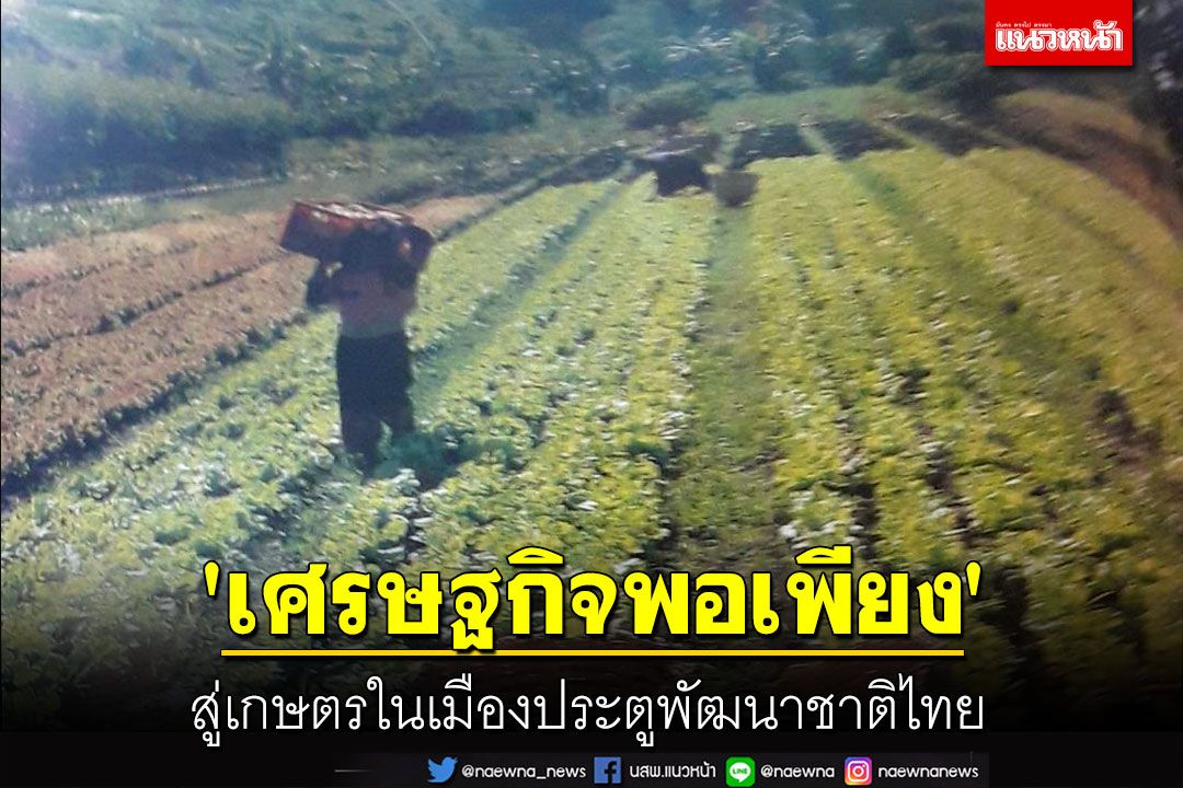 เปิดฉาก 'เศรษฐกิจพอเพียง' สู่เกษตรในเมืองประตูพัฒนาชาติไทย