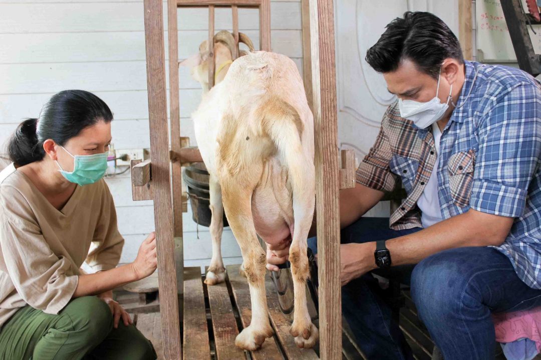 'คนไทยหัวใจไม่ท้อ'ตอน: รัชนิกร ศรีคง จากสัตว์แพทย์สู่ผู้ปั้นแบรนด์ชีสไทย