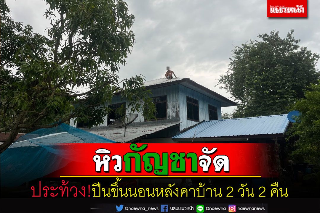 หนุ่มใหญ่อยากกัญชาจัดปีนขึ้นนอนหลังคาบ้าน2วัน2คืน ทนหิวข้าวไม่ไหวลงมาเอง