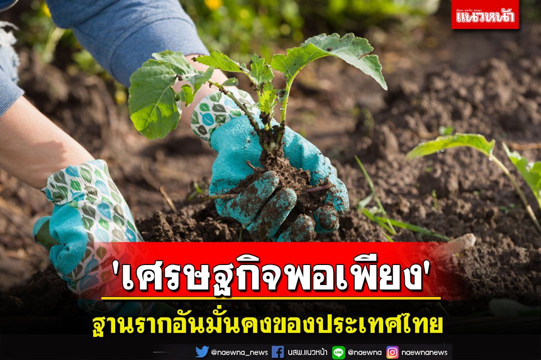 ปรัชญา'เศรษฐกิจพอเพียง'ฐานรากอันมั่นคงของประเทศไทย