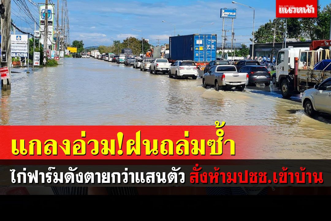 'แกลง'อ่วมเจอฝนกระหน่ำซ้ำสั่งห้าม ปชช.เข้าบ้าน ไก่ในฟาร์มตายกว่าแสนตัว