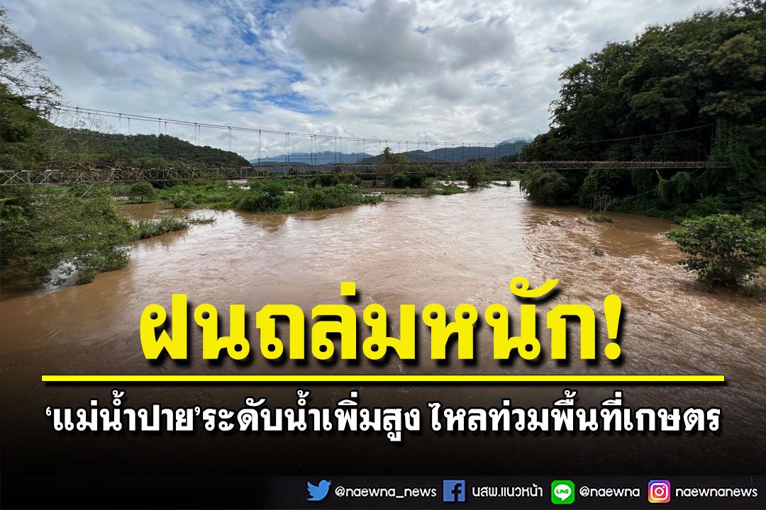 เตือนภัยระดับสีเหลือง! 'แม่น้ำปาย'ไหลทะลักท่วมพื้นที่เกษตร-บ้านเรือนปชช.