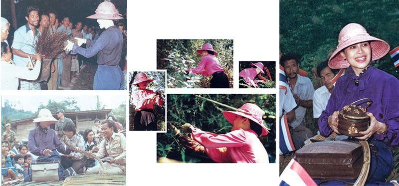 มูลนิธิส่งเสริมศิลปาชีพฯจัดเสวนาทางวิชาการ  ‘เปิดคุณค่าความงดงามของจักสานไทย’