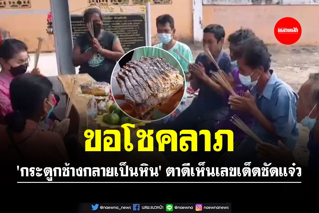 ชาวบ้านฮือ!! ขอโชคลาภ 'กระดูกช้างกลายเป็นหิน' ตาดีเห็นเลขเด็ดชัดแจ๋ว