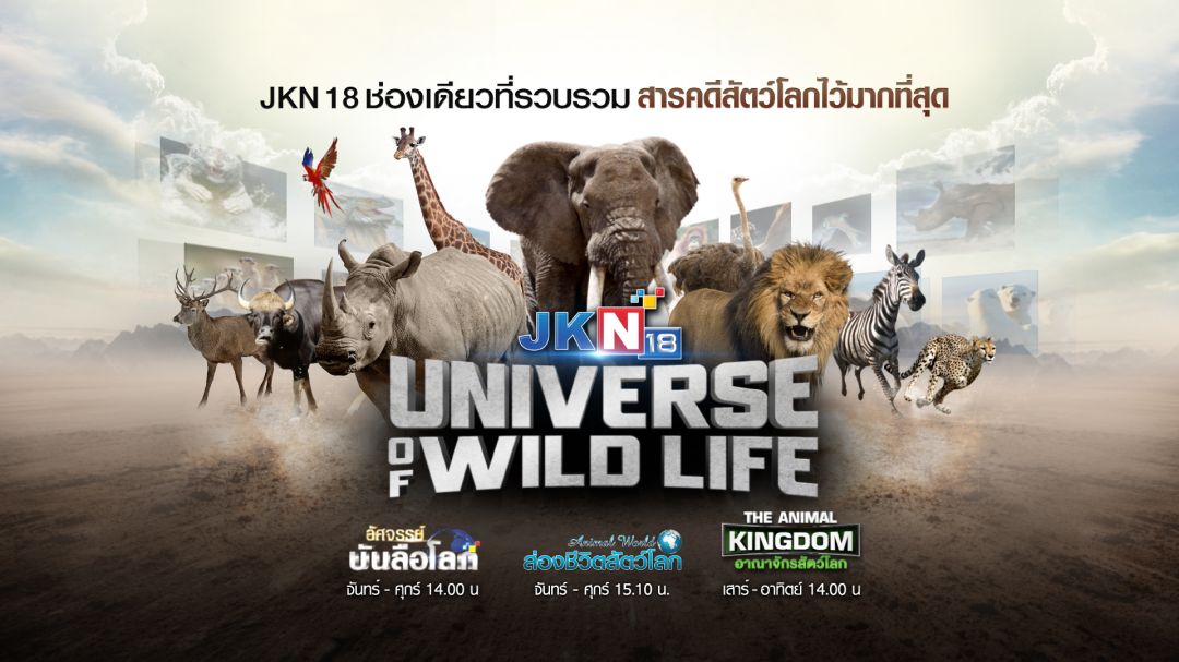 JKN18 ช่องเดียวที่รวมสารคดีสัตว์โลกไว้มากที่สุด ดีที่สุดในประเทศไทย