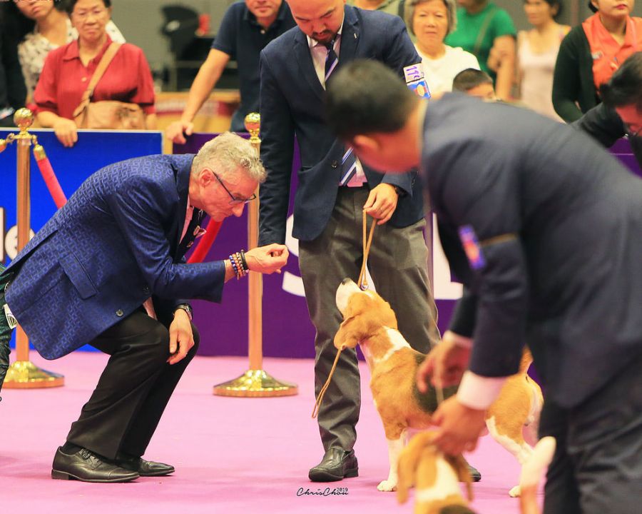 เจ้าฟ้าสิริวัณณวรีฯ ทรงมีพระดำริจัดงาน ‘PRINCESS HONOUR CUP 2022’  ประกวดพันธุ์สุนัขทุกสายพันธุ์ตามหลักมาตรฐานสากล ชิงถ้วยพระราชทาน