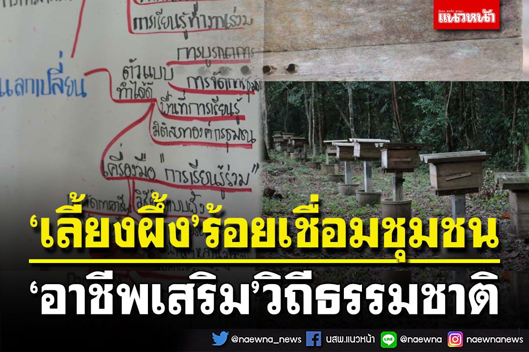 สกู๊ปพิเศษ : ‘เลี้ยงผึ้ง’ร้อยเชื่อมชุมชน  ‘อาชีพเสริม’วิถีธรรมชาติ
