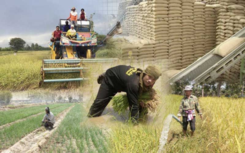 ชาวนา 4.68 ล้านเฮ!  รัฐบาลแจ้งเช็คด่วน  สิทธิประกันรายได้