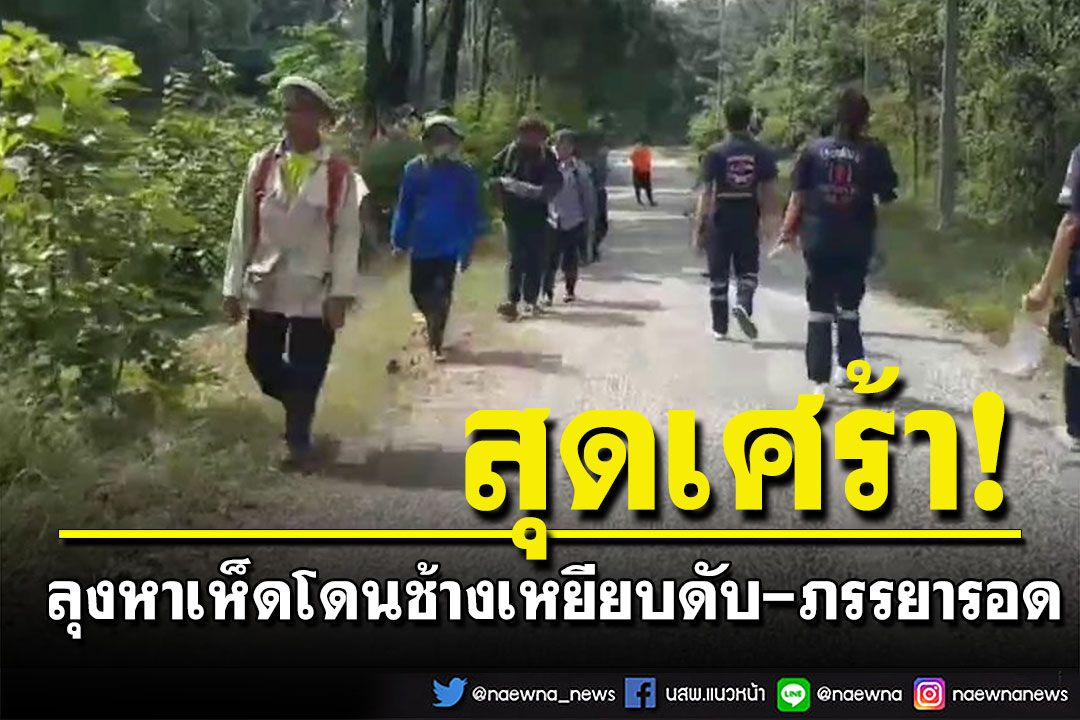 เศร้า! ลุงหาเห็ดโดนช้างเหยียบเสียชีวิต ส่วนภรรยาหมอบโคนต้นไม้รอดหวุดหวิด