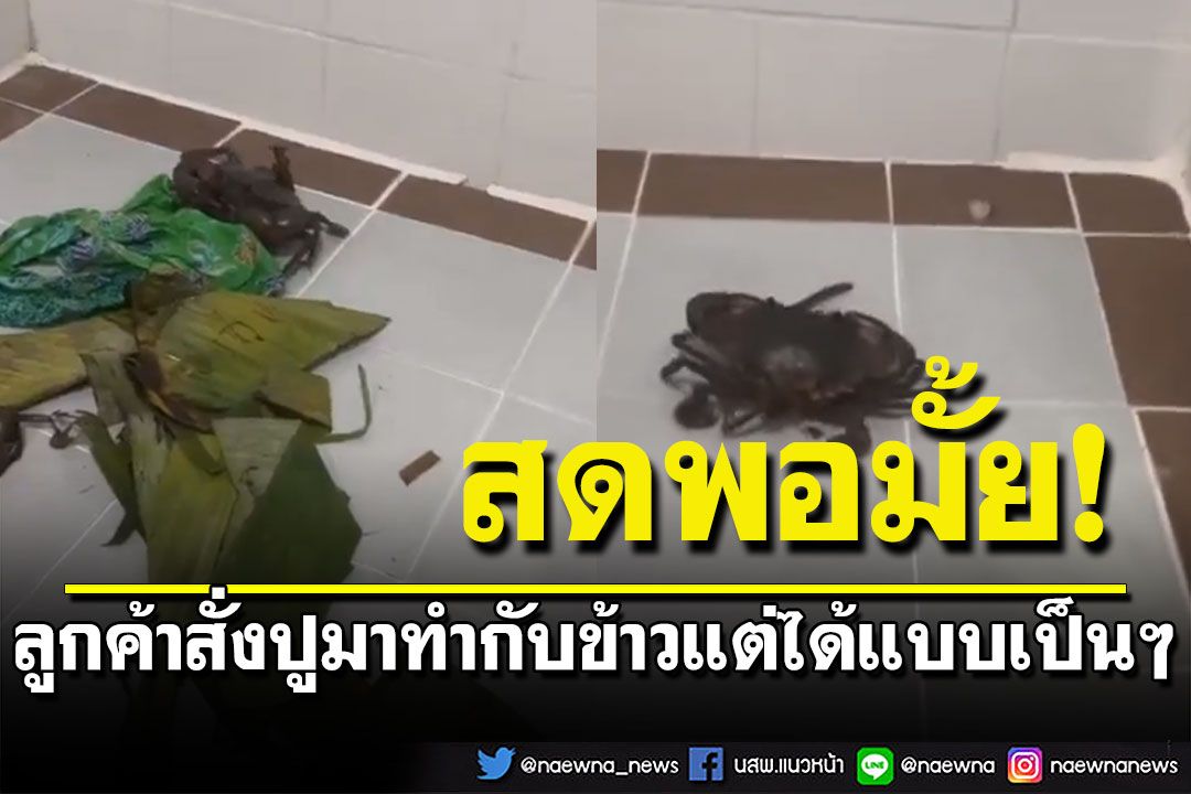 ตรงปกสุดๆ ลูกค้าสั่งปูมาทำเมนูอาหาร สิ่งที่ได้เกินคาดคิด ได้แบบตัวเป็นๆเลย