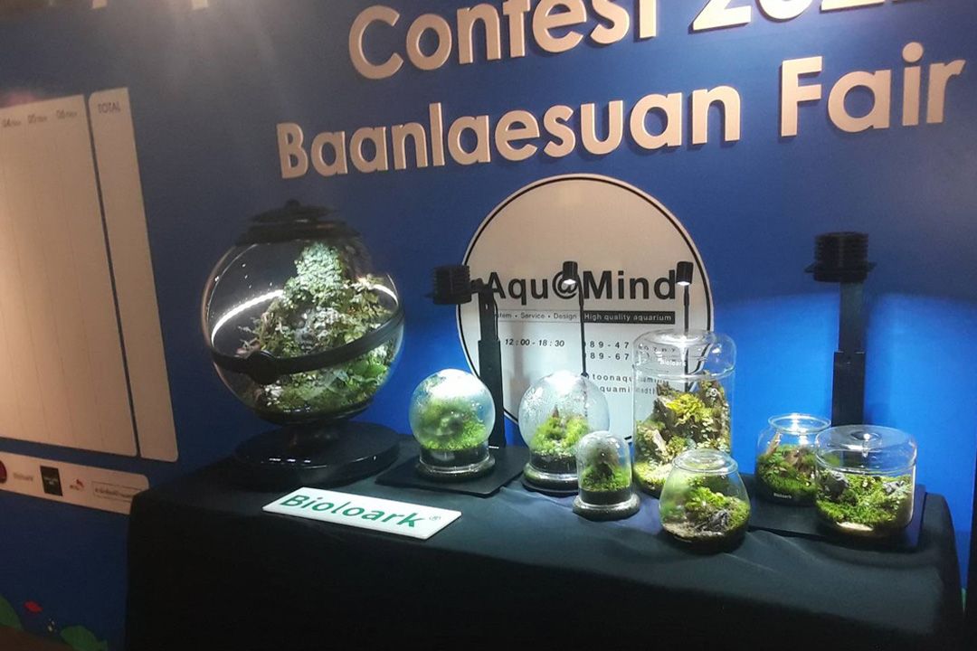 'พลังงานยั่งยืน' ทางรอดของเกษตรคนเมือง