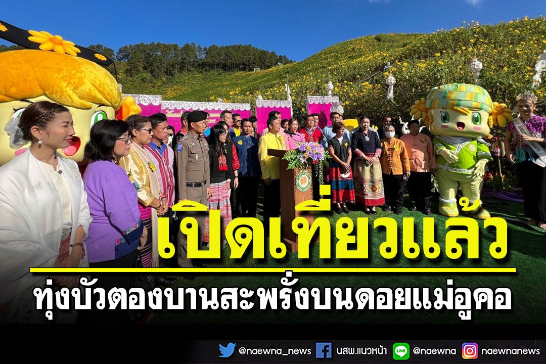 เปิดเทศกาลท่องเที่ยว 'ทุ่งบัวตองบานบนดอยแม่อูคอ' รับลมหนาว
