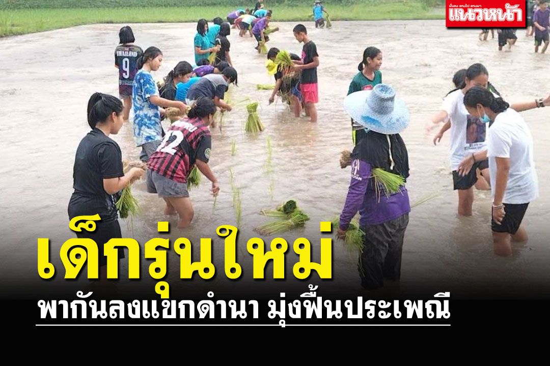 ยุวเกษตรกรกว่า150คนจับมือลงแขกดำนา ฟื้นประเพณีลงแขกปลูกข้าว