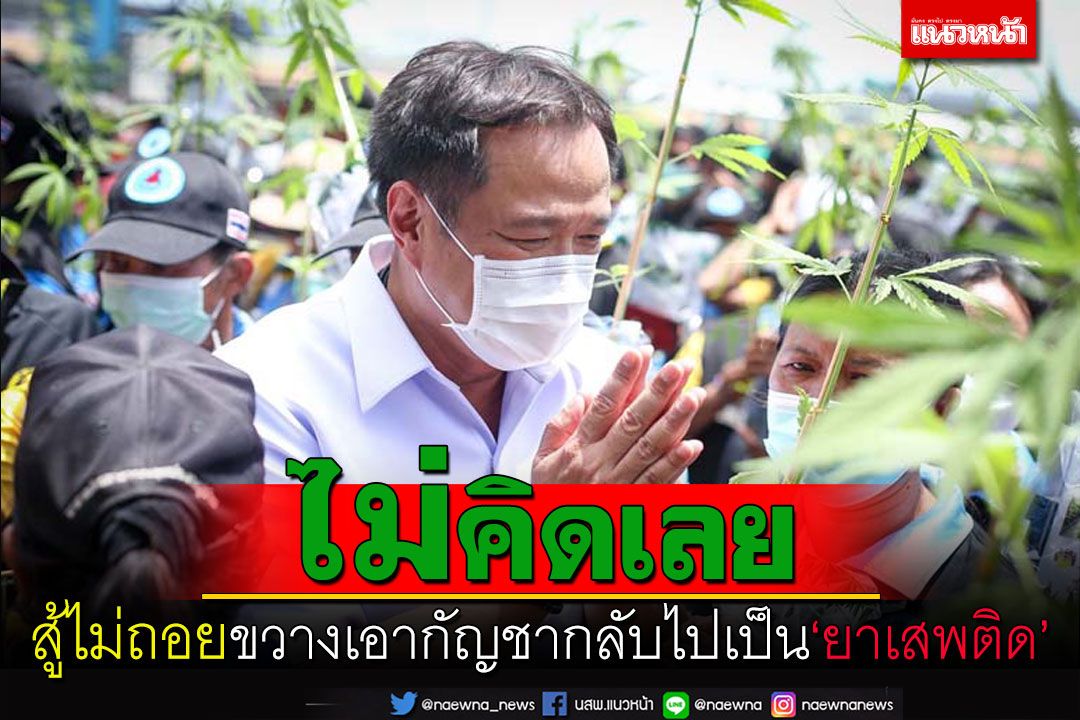 ลึกก้นบึ้ง‘อนุทิน’ แจงยิบ! สู้ไม่ถอยขวางเอากัญชากลับไปเป็น‘ยาเสพติด’