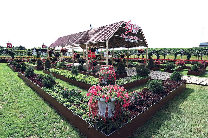 40 ปี‘ศรแดง’เปิดบ้านโชว์นวัตกรรมสายพันธุ์ผัก-ดอกไม้ ชวนเที่ยวงานเนเธอร์แลนด์เมืองไทย‘ความสุขปลูกได้’